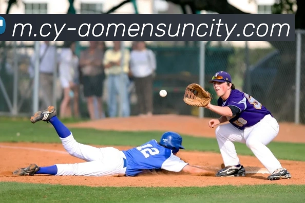 太阳城娱乐平台生态图